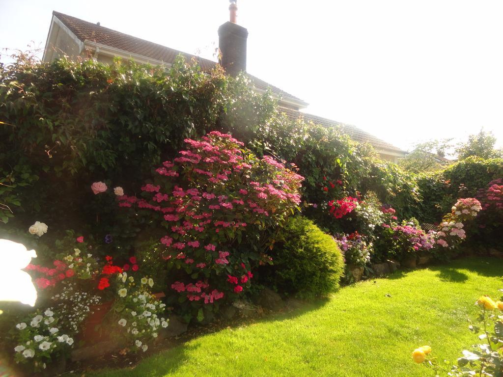 Orley House B&B Drogheda Exterior photo