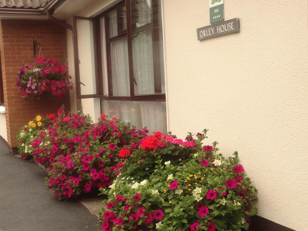 Orley House B&B Drogheda Exterior photo