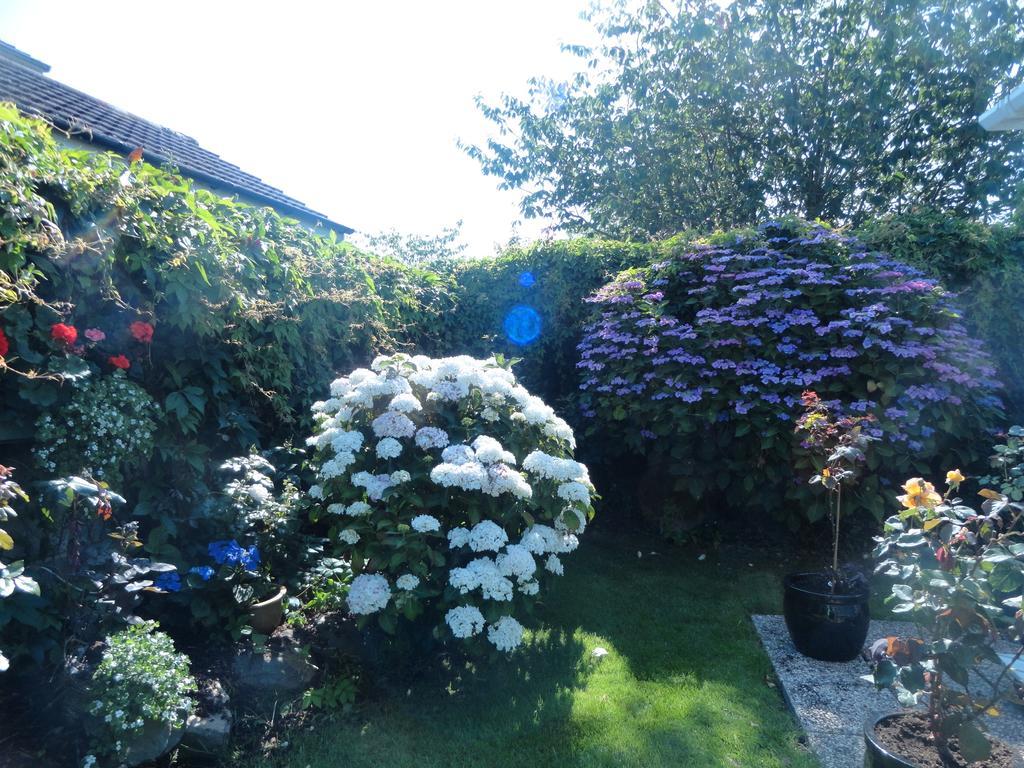 Orley House B&B Drogheda Exterior photo
